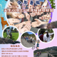 天生小博士~明潭騎跡體驗營v5最終版